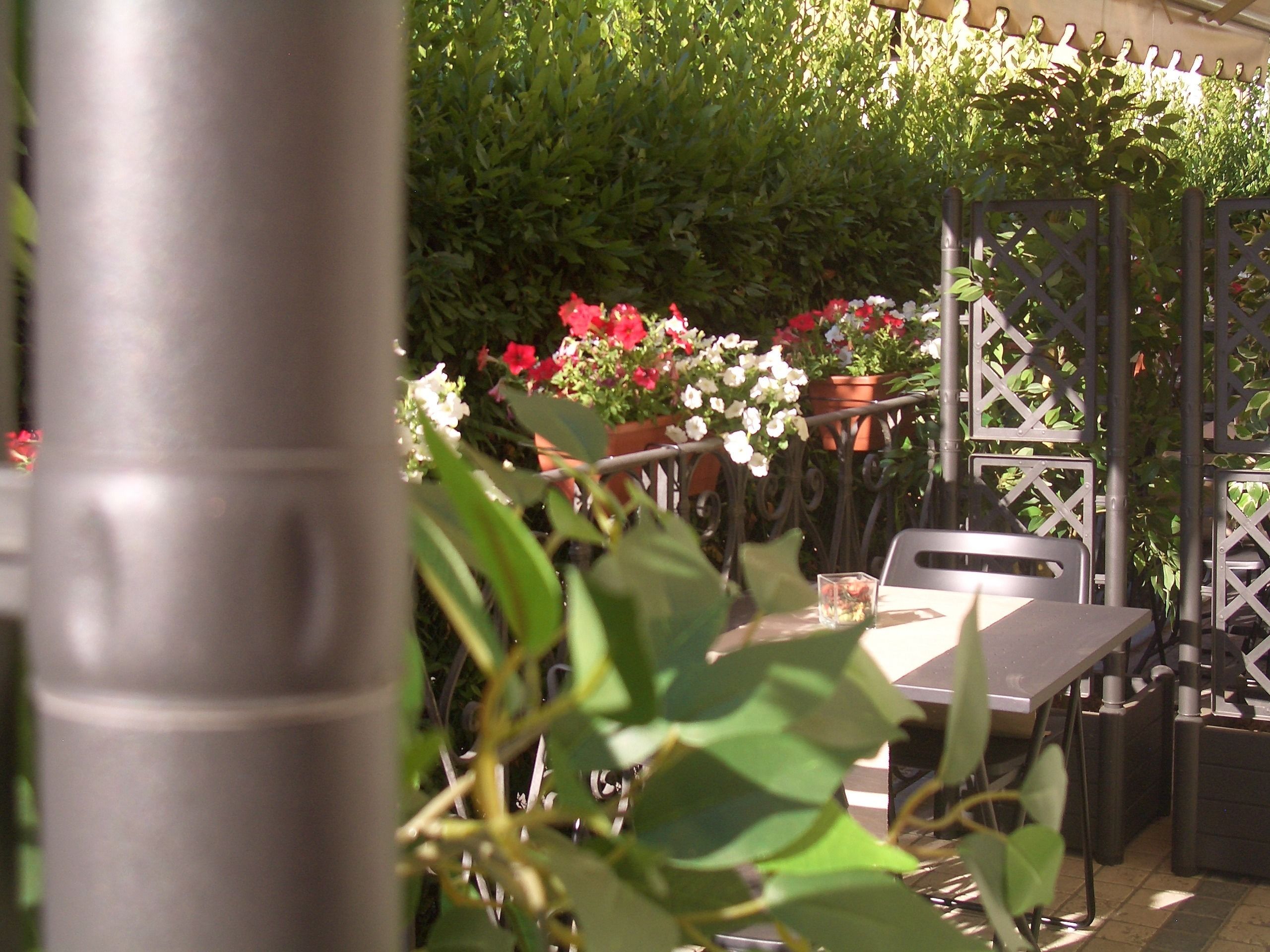 An outdoor seating area with a table and chairs, surrounded by potted plants and flowers.