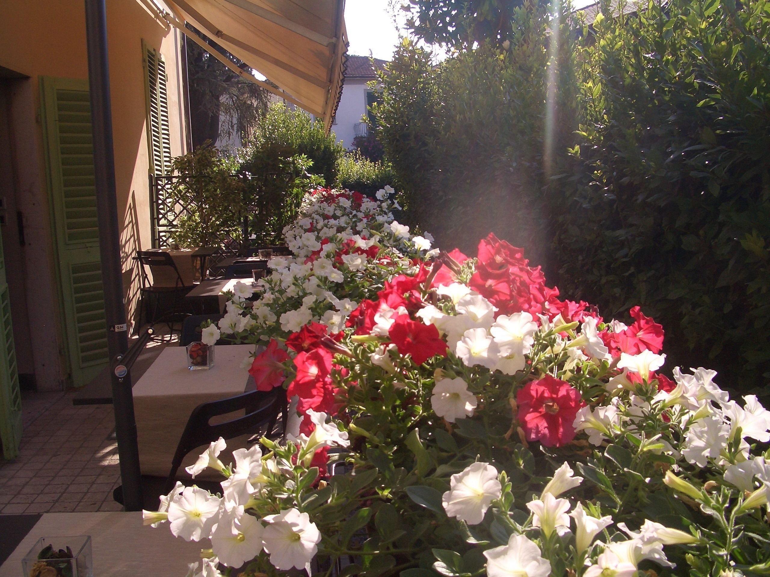 Photo - Lucca Relais