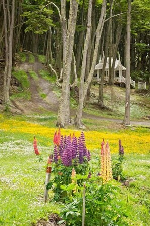 Property grounds - Aldea Nevada (Ushuaia)