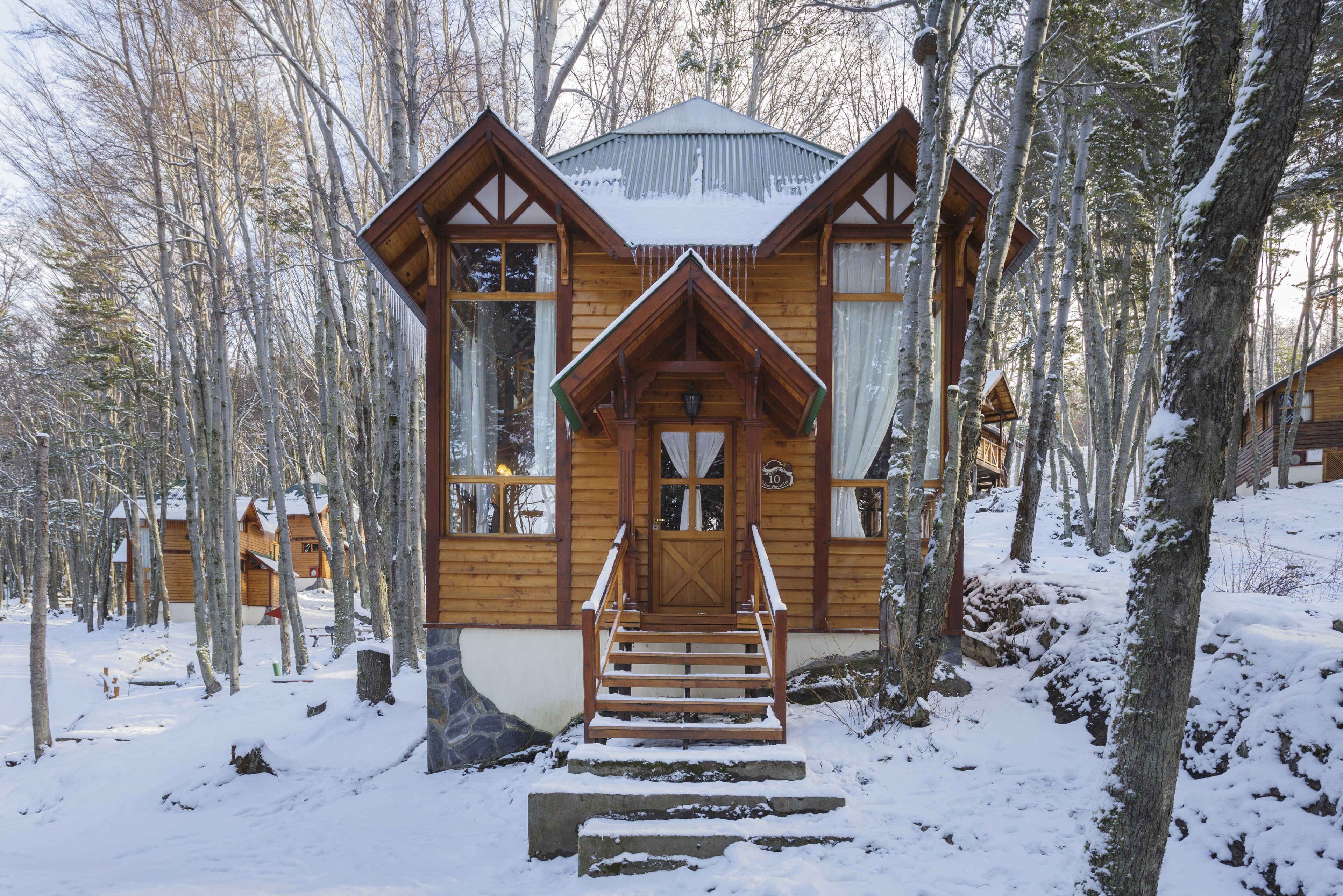 Una cabaña de madera con una escalera empinada que lleva a una puerta, rodeada de árboles cubiertos de nieve.