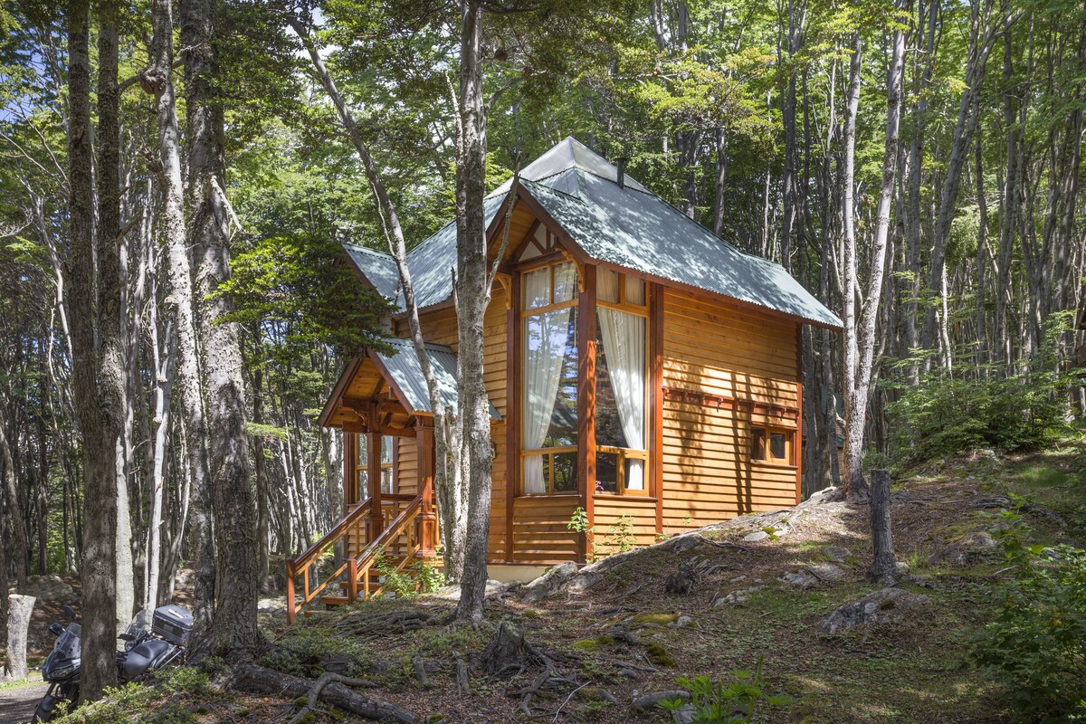 A wooden cabin surrounded by tall trees in a forest.