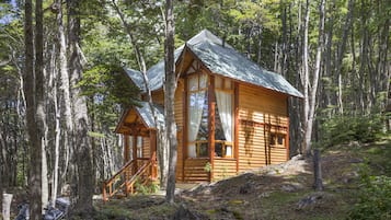 Cabane, 1 chambre (Duplex)