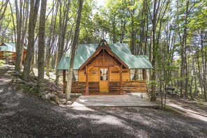 Una cabaña rústica con techo de metal verde, paredes de madera y una terraza de madera que lleva a la entrada.