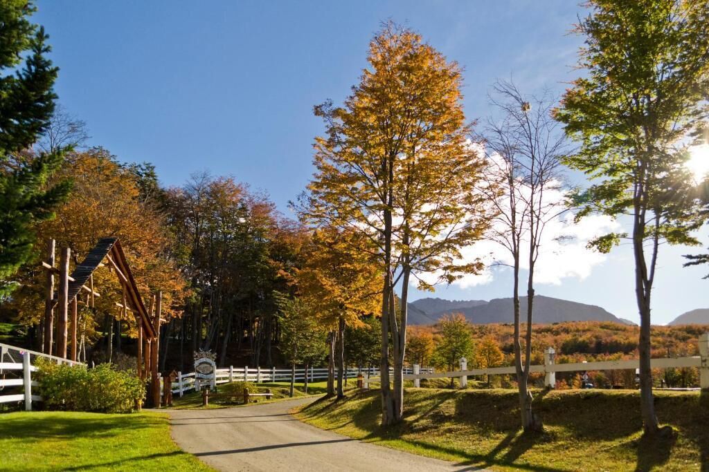 A rural road with a white fence and trees with autumn foliage.