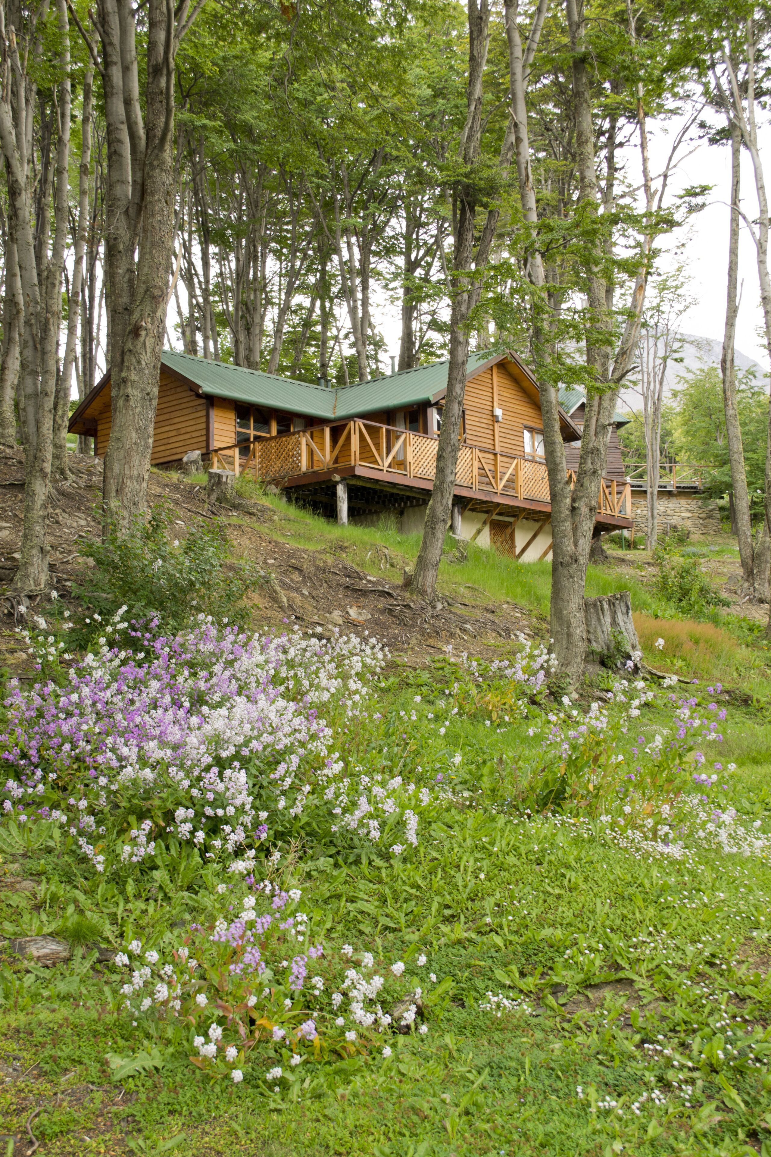 Standard Cabin, 2 Bedrooms | Terrace/patio