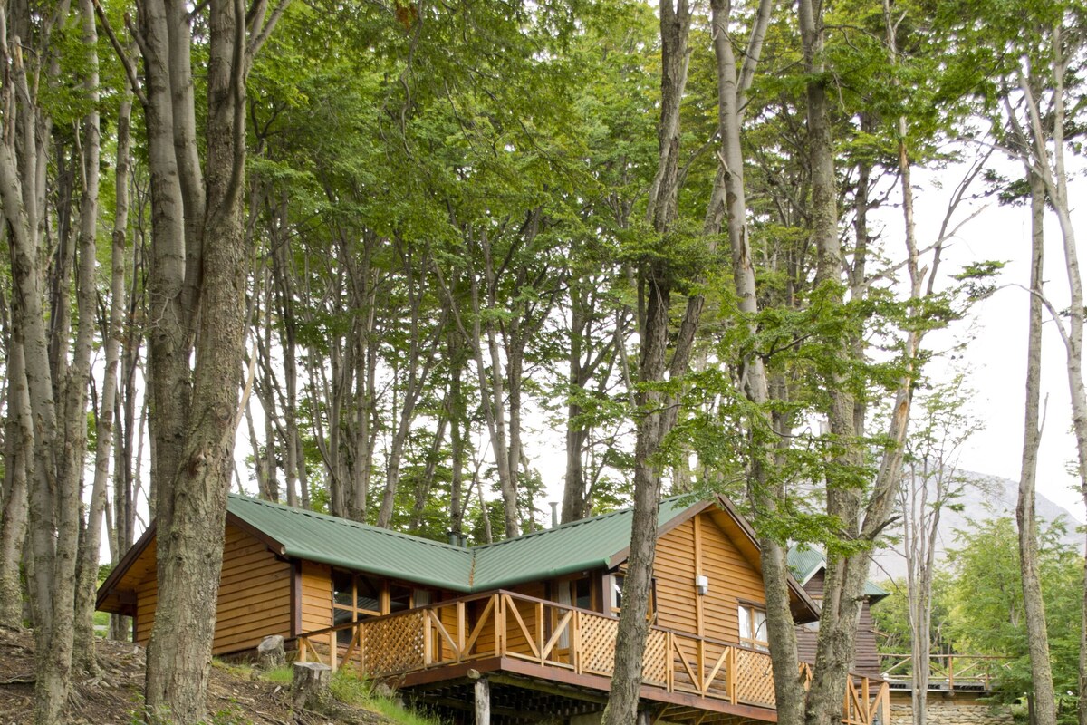 A wooden cabin with a green roof, surrounded by trees and blooming wildflowers.