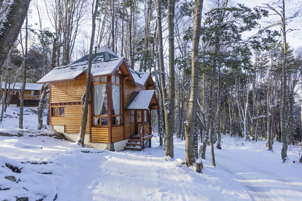 A wooden cabin with a snow-covered roof, surrounded by a forest.