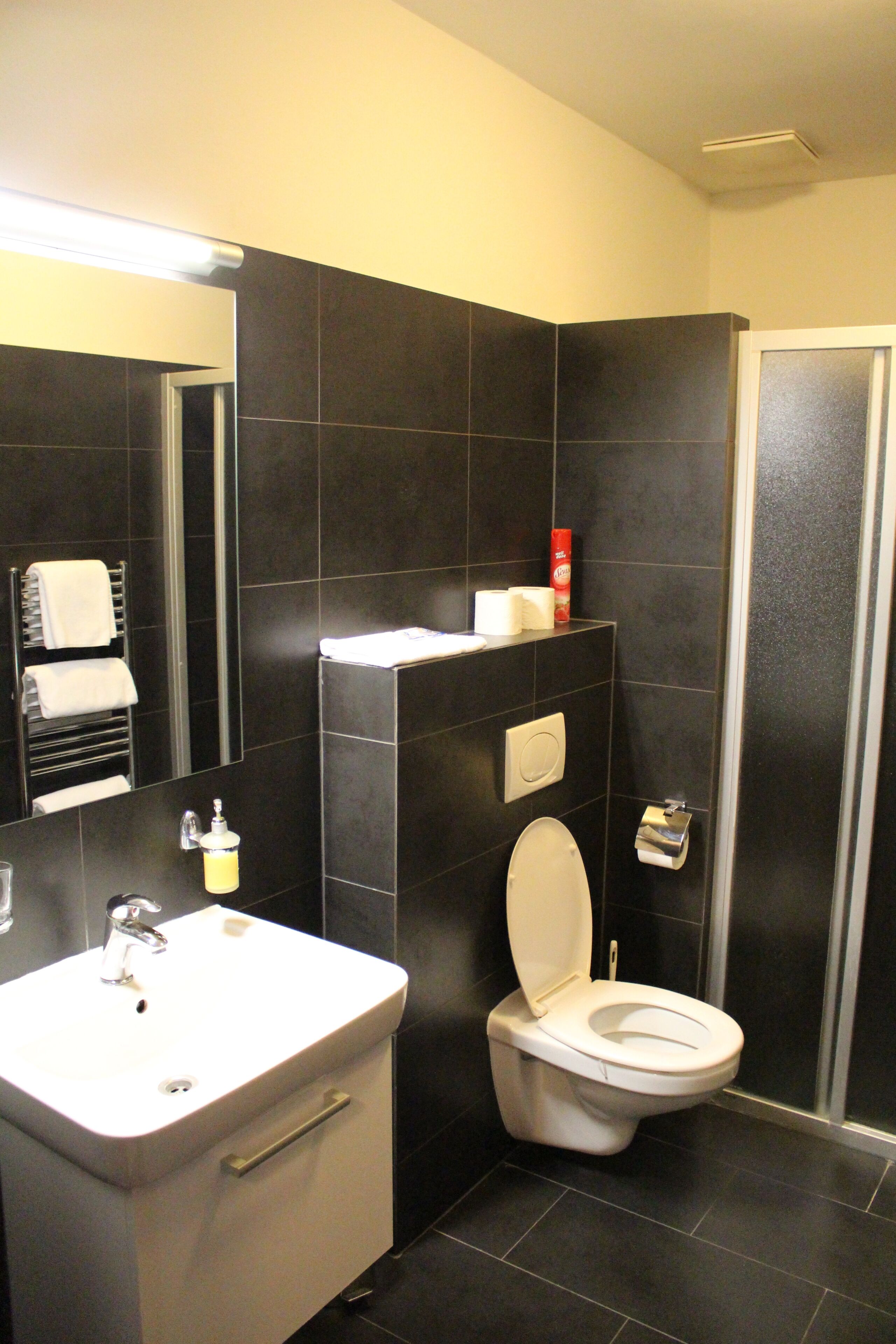 Ein modernes Badezimmer mit Waschbecken, Toilette und Handtuchhalter.