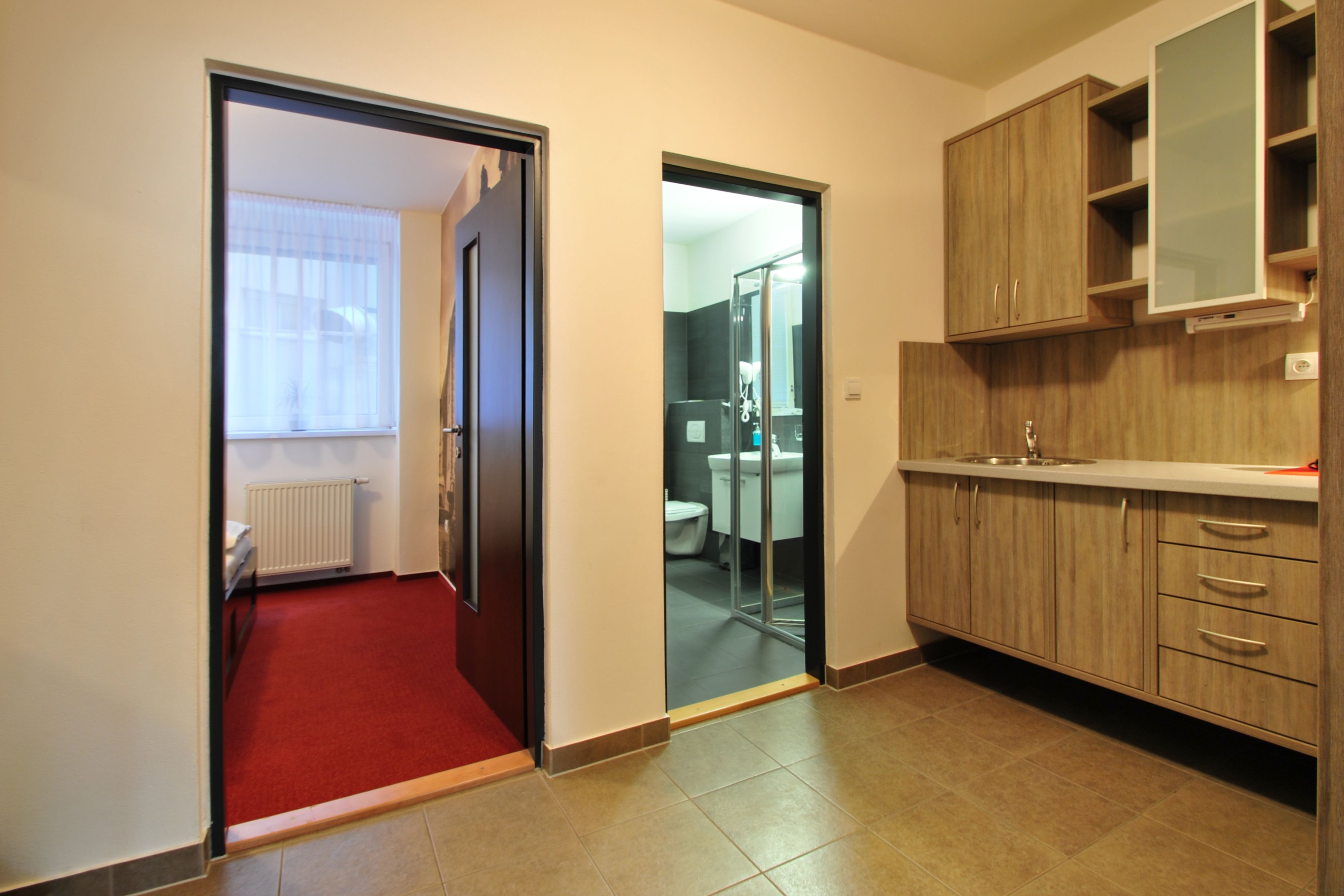 apartment, 1 bedroom (3 adults) | private kitchen | fridge, stovetop, electric kettle, cookware/dishes/utensils