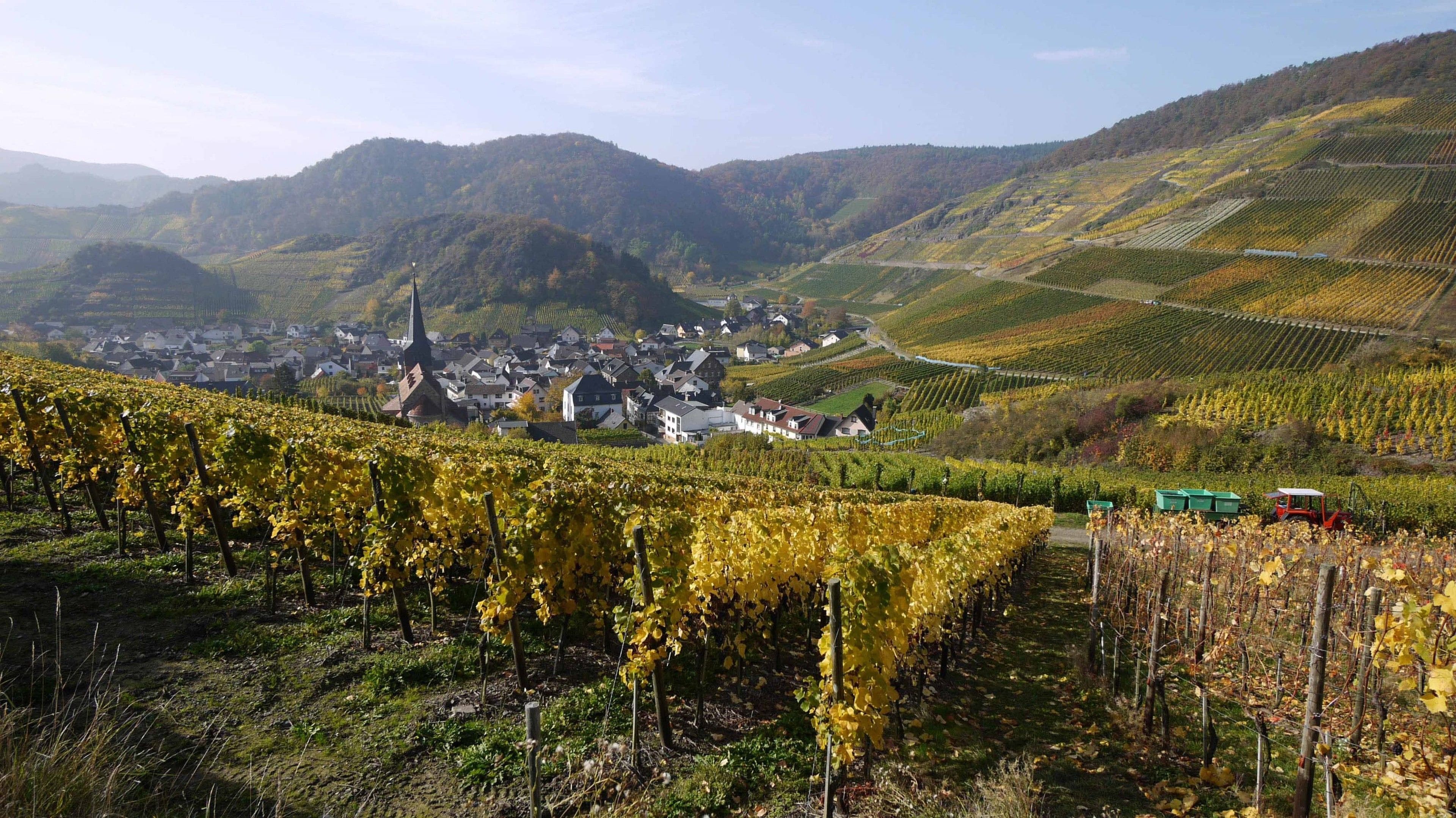 Photo - Hotel Pinger