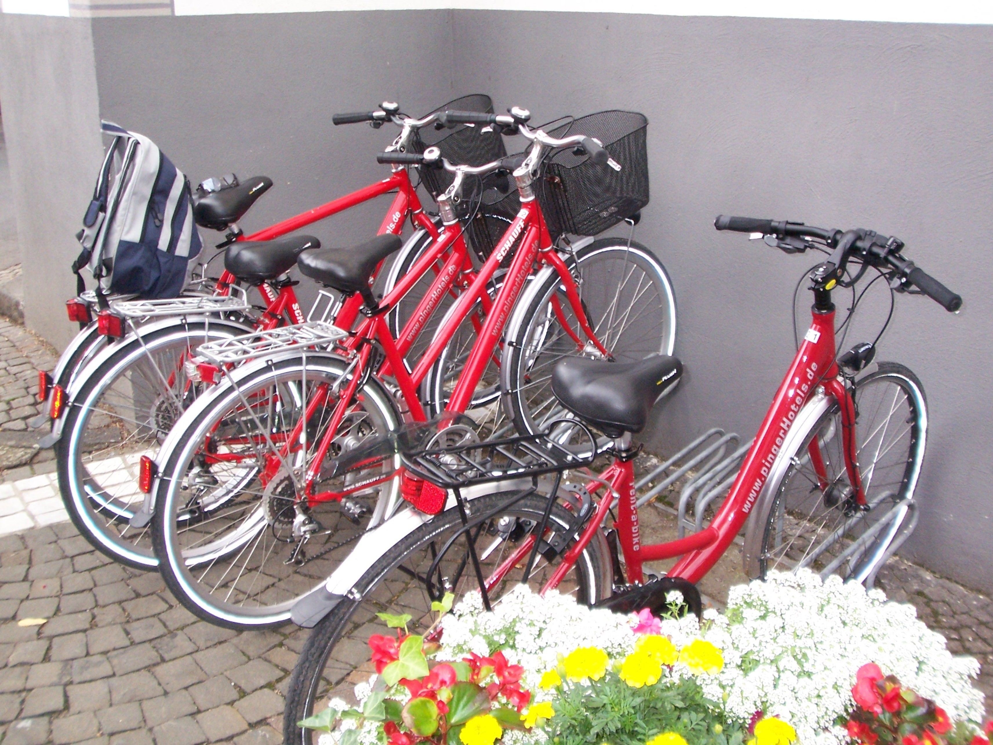 Photo - Hotel Pinger