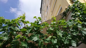 A building with a beige facade and multiple windows. - Hotel Pinger (Remagen)