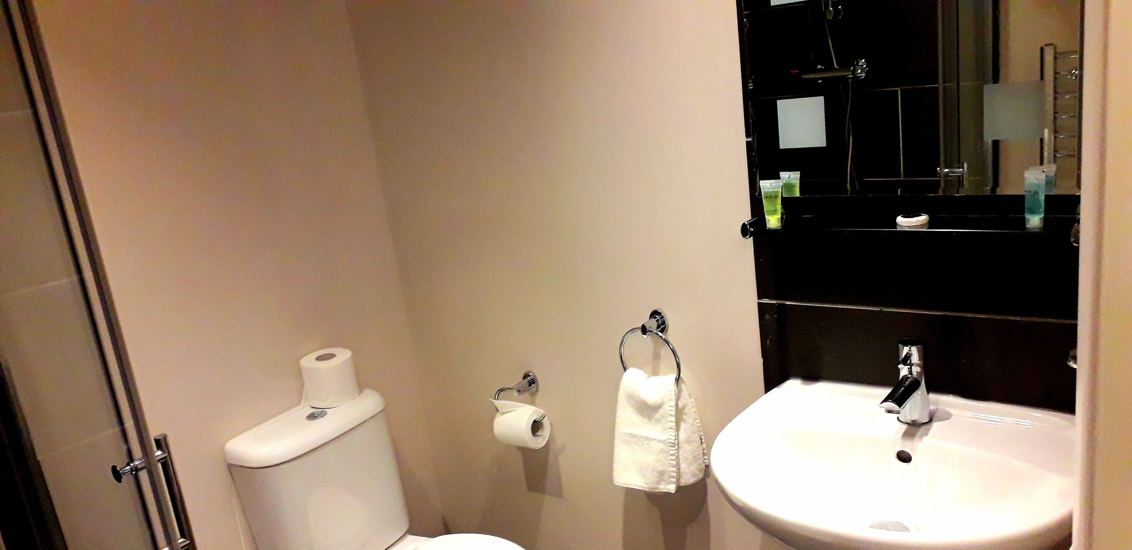 A bathroom with a toilet, a sink, and a mirror.