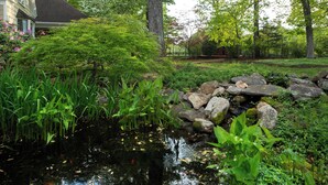 Un jardin paisible avec un étang, une végétation luxuriante et une clôture en bois.