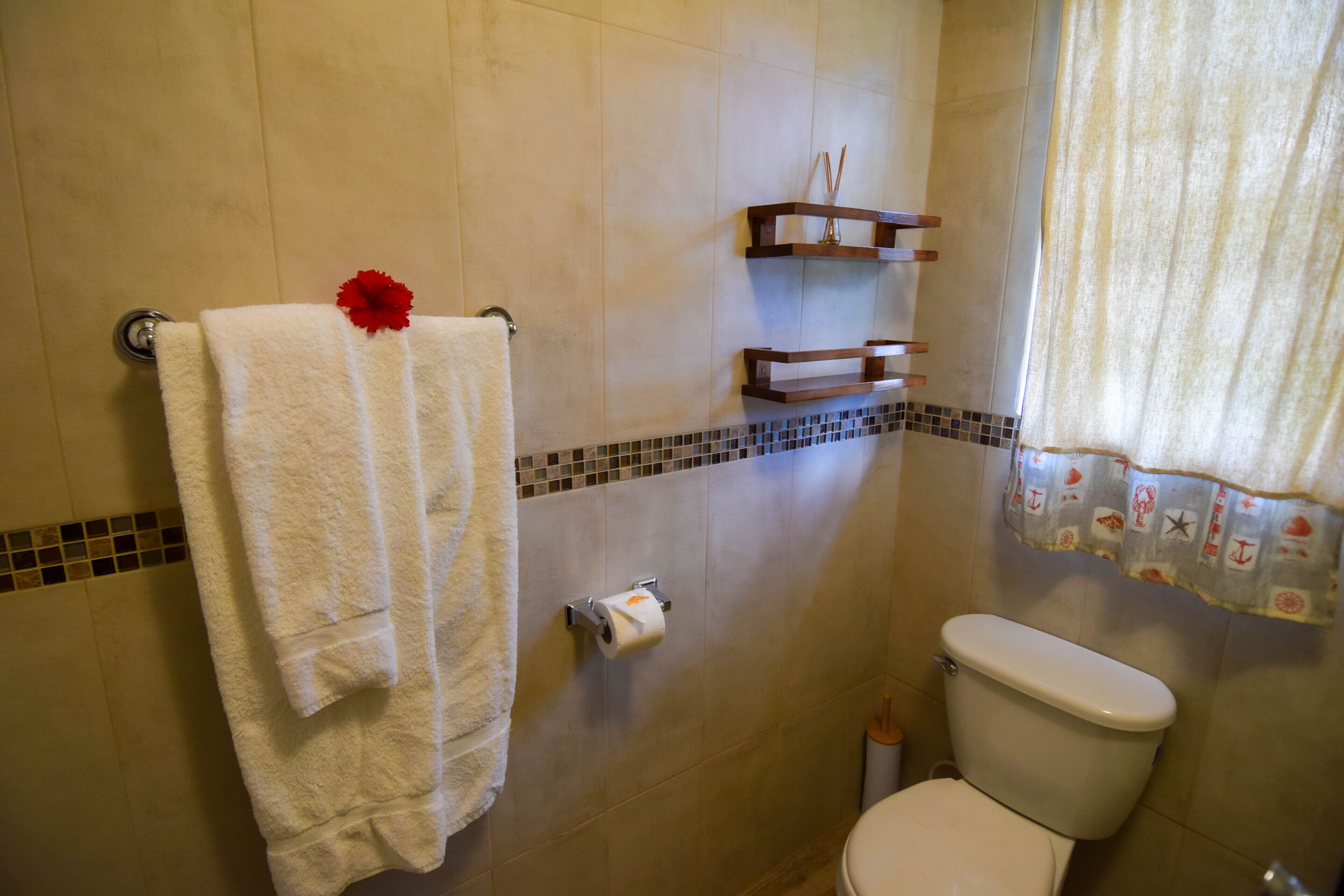 A bathroom with a white toilet, a towel rack with a white towel, a toilet paper holder, and a shower curtain with a pattern.