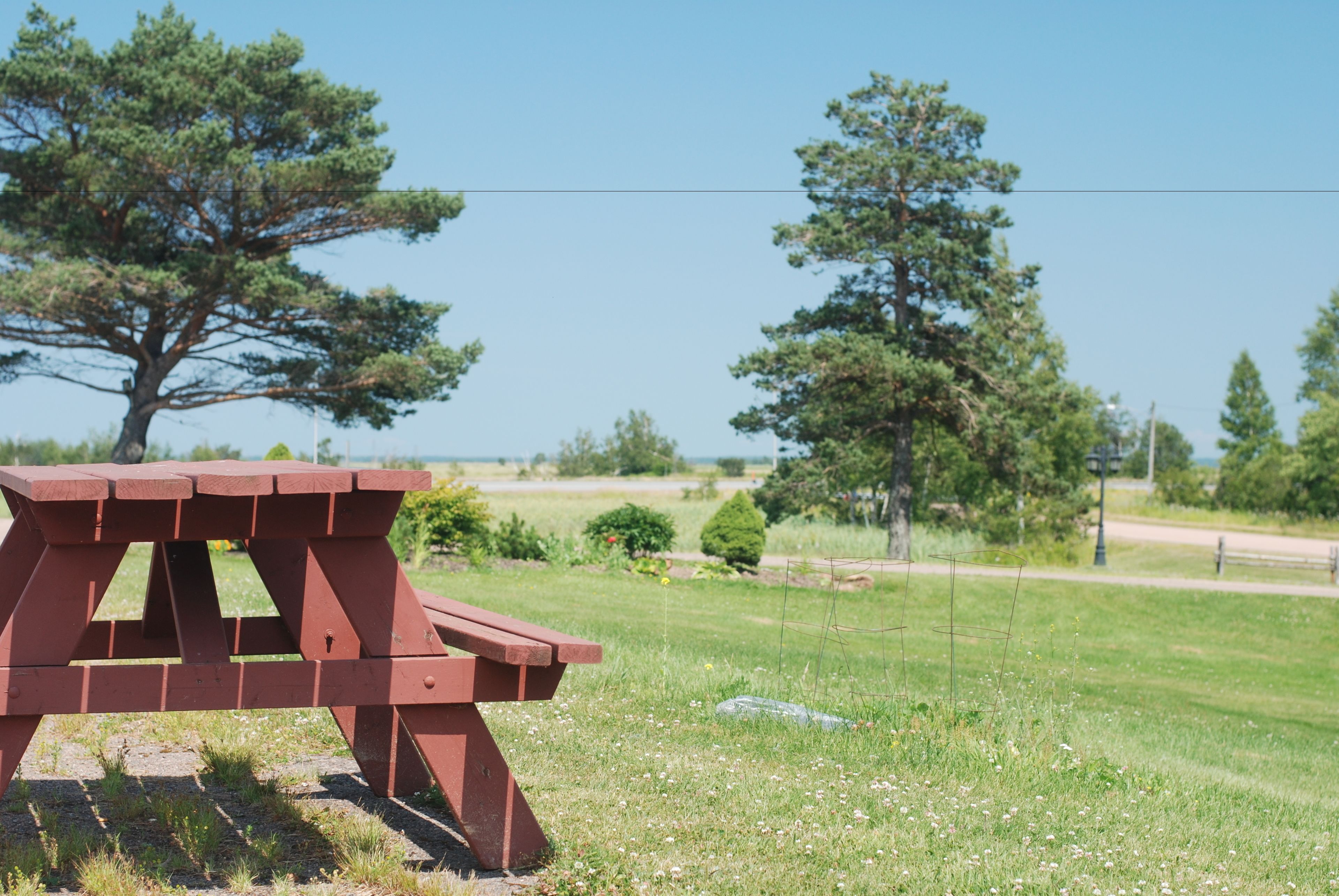 A picnic table in a grassy area with trees in the background.