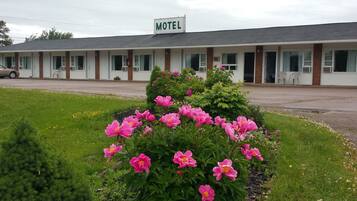 A motel with a row of rooms, a sign indicating it is a motel, and a flower bed in the foreground.