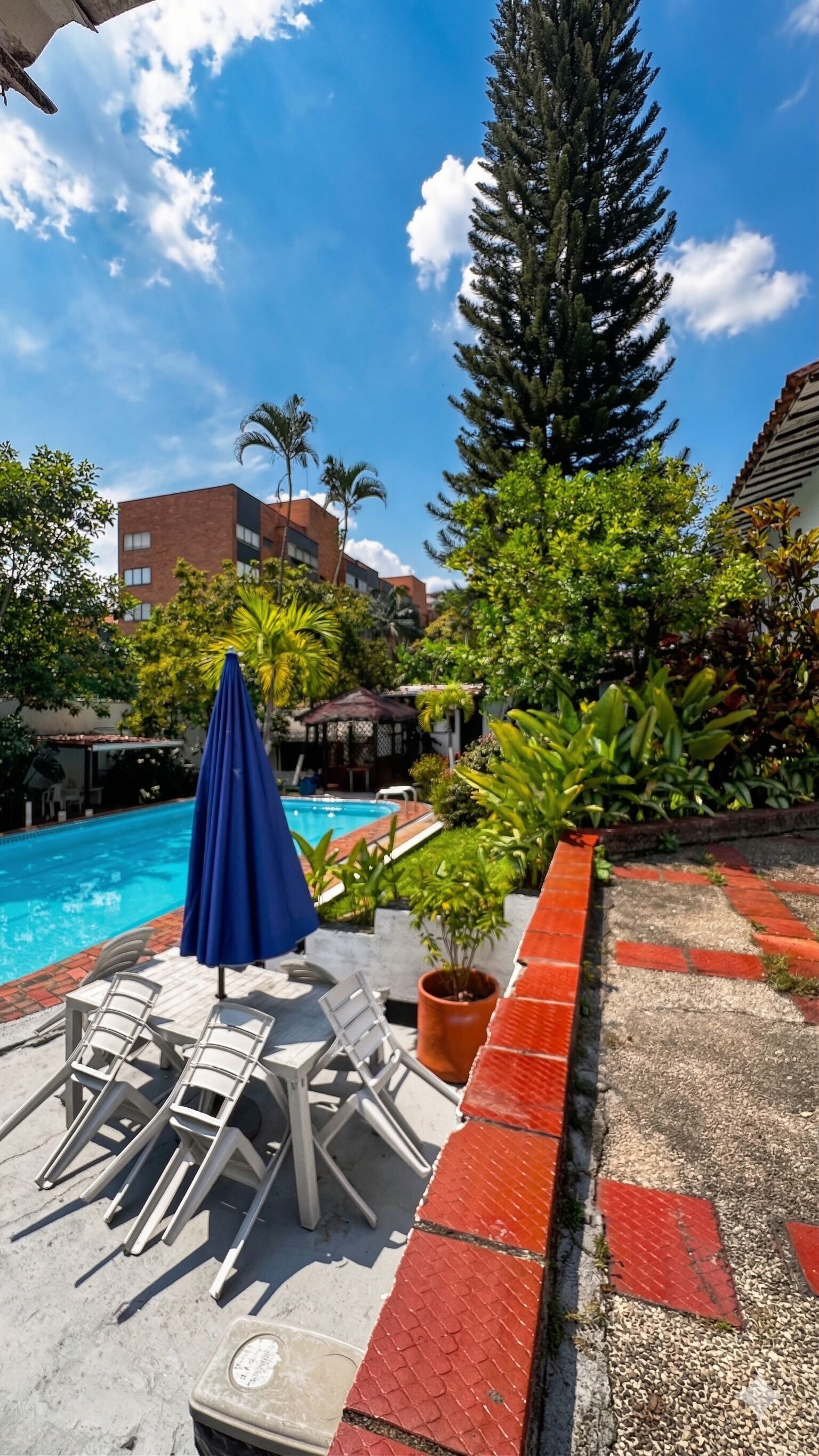 Zona de piscina con sillones de descanso, una sombrilla azul y plantas en macetas.