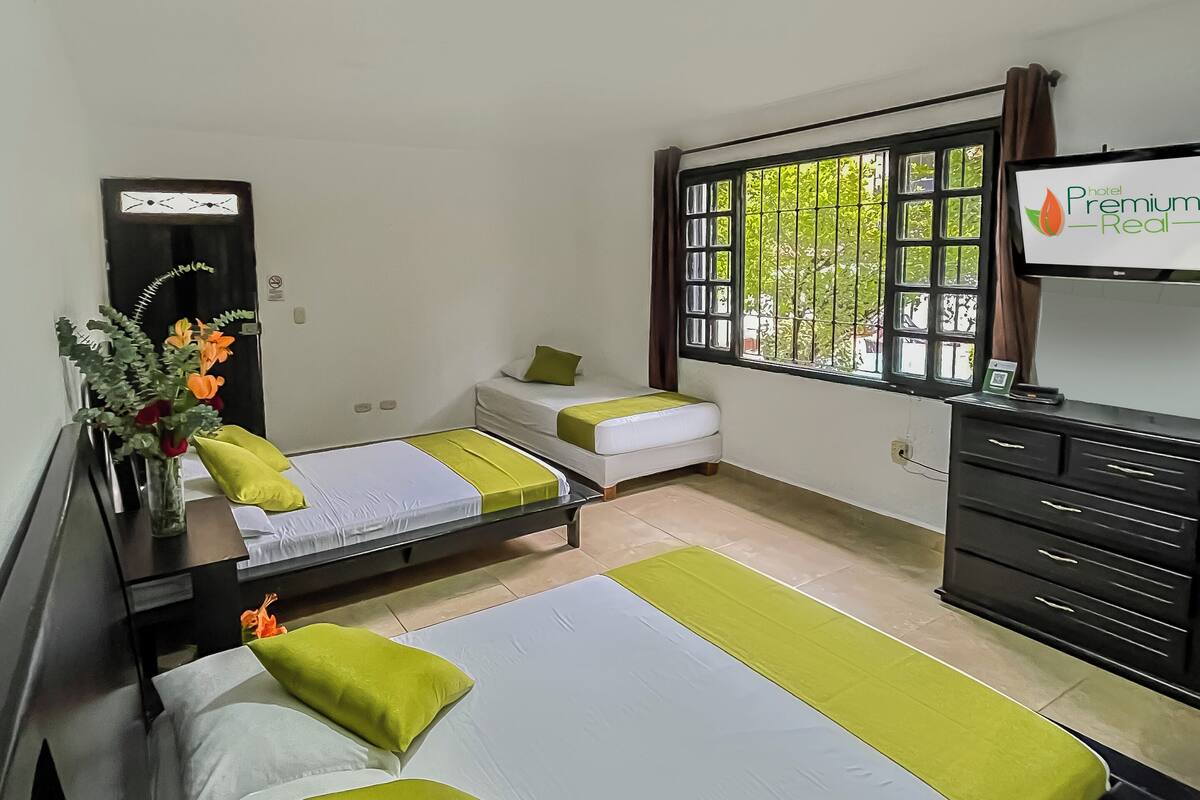 Une chambre d’hôtel avec deux lits, une télévision, une commode et une fenêtre donnant sur un paysage verdoyant.