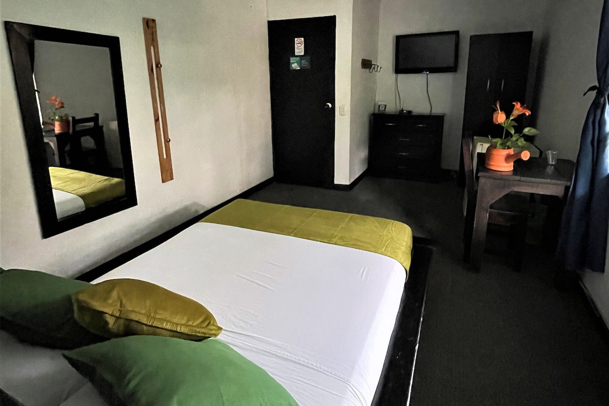 Une chambre d’hôtel avec un grand lit, un bureau, une chaise, une télévision et une porte.