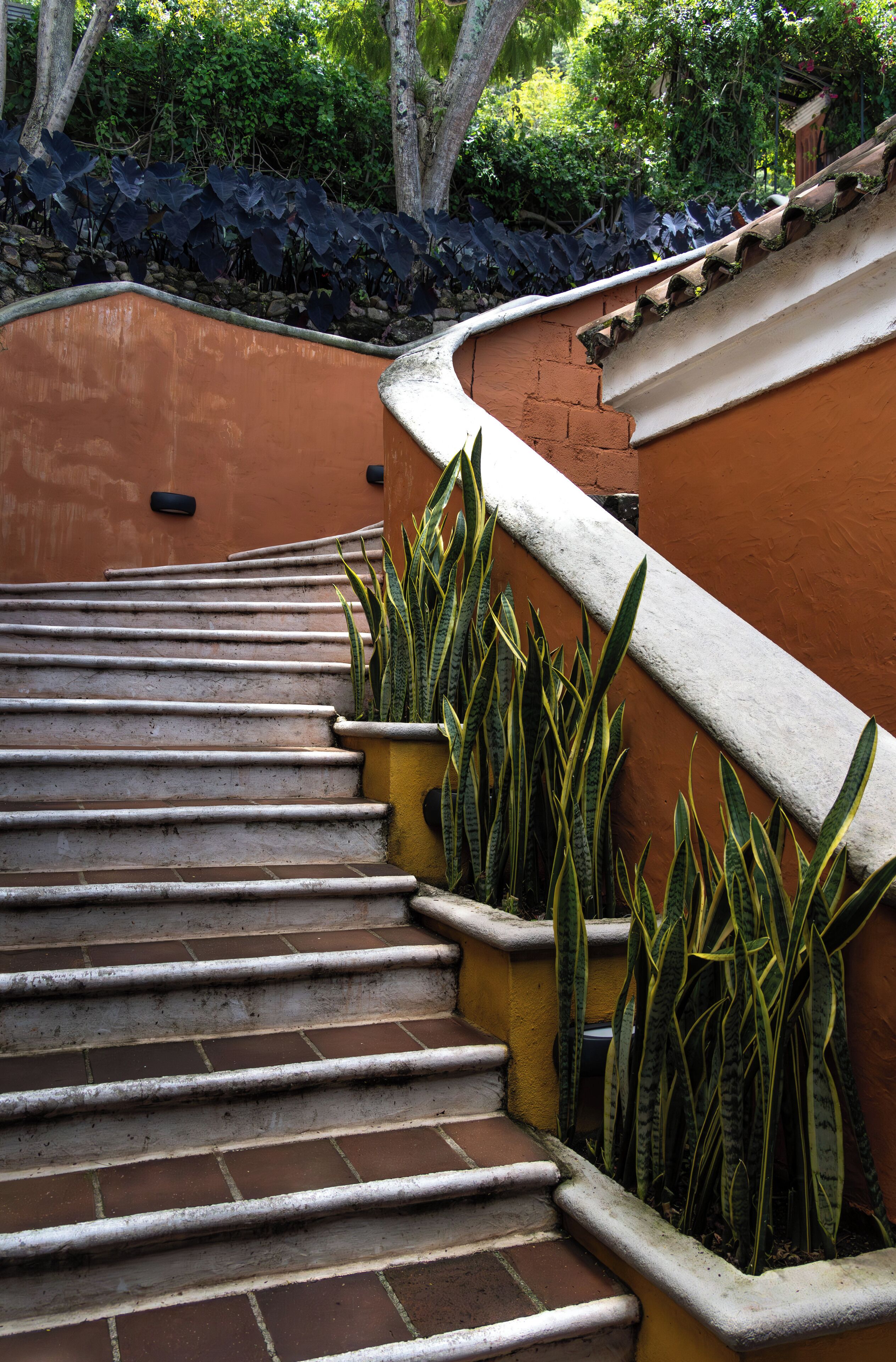 A set of outdoor stairs with a curved wall and potted plants.