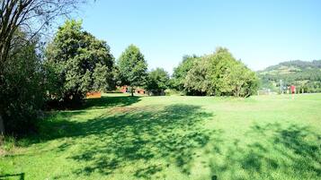 A grassy field with trees and a clear sky.