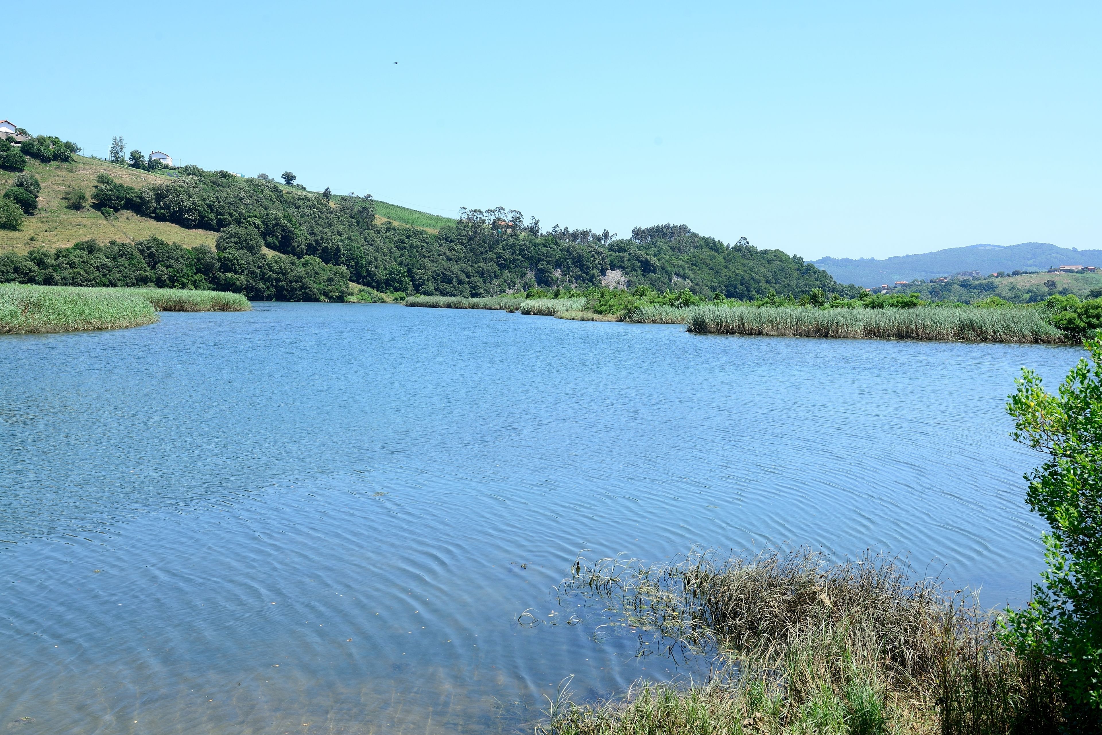 Foto - Albergue Finca El Mazo