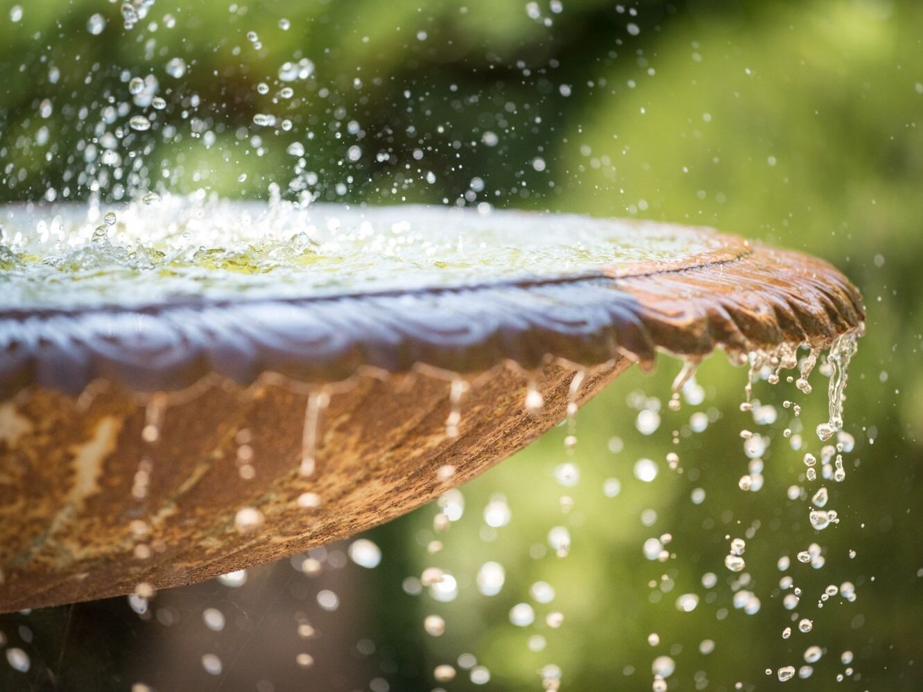 A close-up of a fountain with water spouting from its edge.