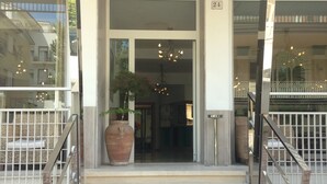 Un escalier menant à l’entrée d’un bâtiment, avec une grande plante en pot placée en haut.