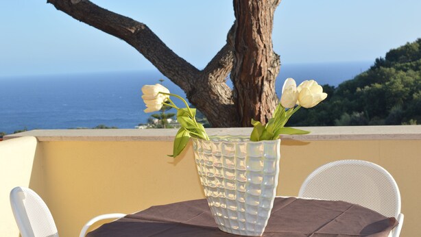 Una mesa con vistas despejadas al mar y un árbol.