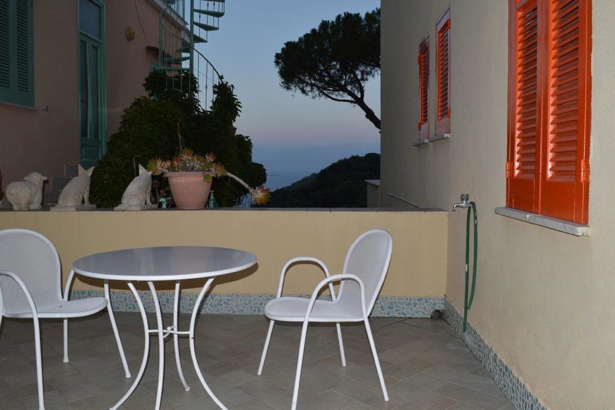 An outdoor patio with a round table and two chairs, a potted plant, and a view of the sea.