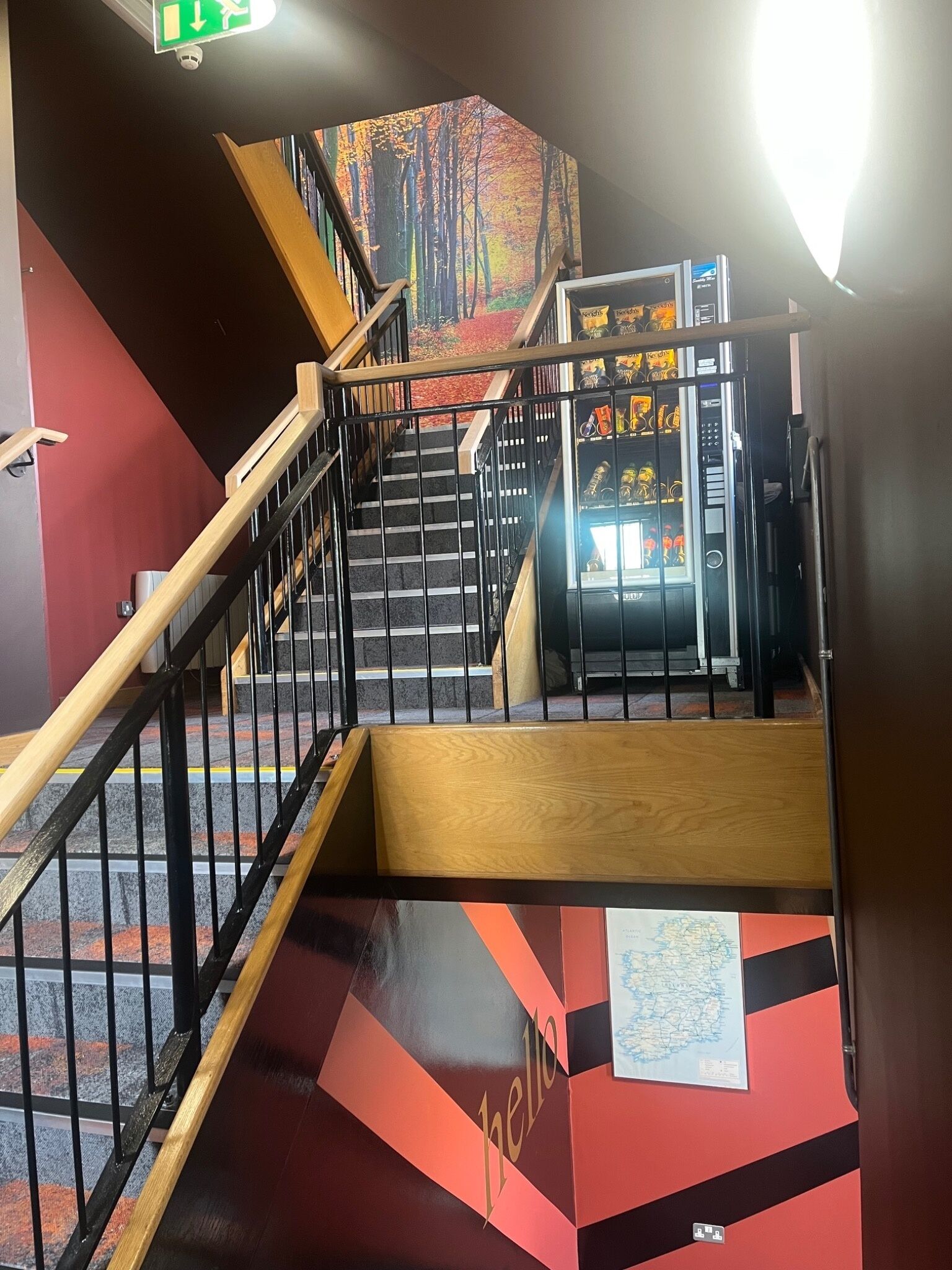 Photo - The Nest Boutique Hostel
