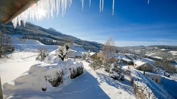 Wintersport/Ski