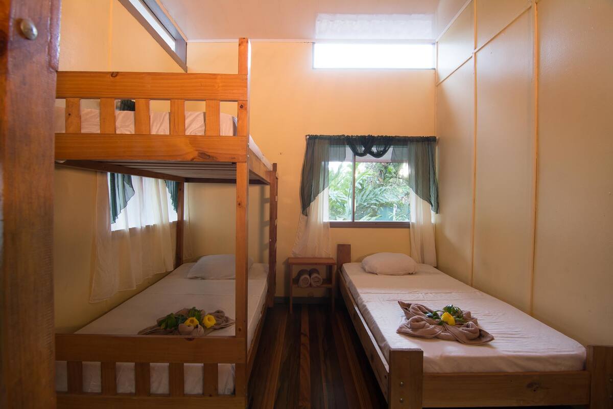 Quang cảnh từ phòng