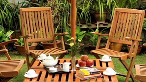 Dos sillas de madera con una mesa dispuesta para el té, rodeado de plantas en macetas.