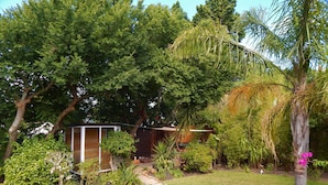 A garden with a variety of trees and plants, a wooden deck, and a small shed. - Khashamongo B&B (Cape Town)