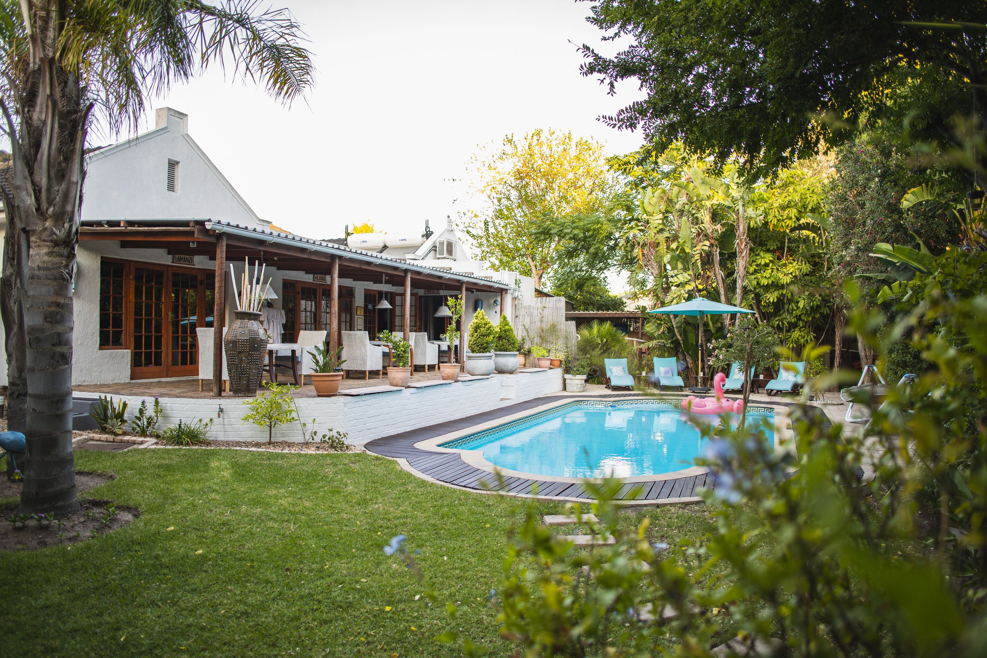 Outdoor pool, pool umbrellas, pool loungers