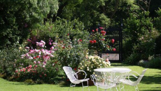 Jardín