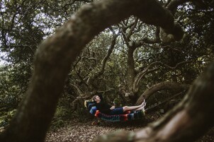 Una hamaca en un área boscosa.