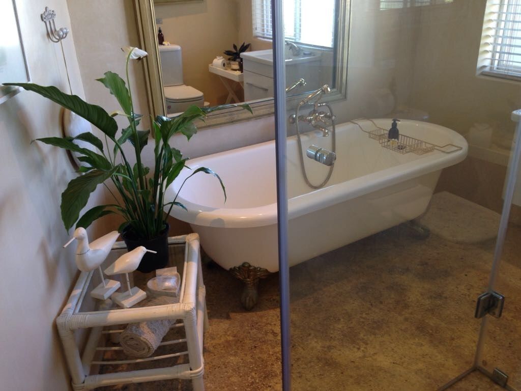 Un baño con una bañera blanca, cabina de ducha de vidrio y una planta en maceta.