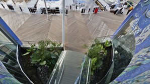 A modern indoor area with a glass-bottomed viewing platform, a wooden deck, and a water feature with plants. - Krystal Beach Hotel (Cape Town)