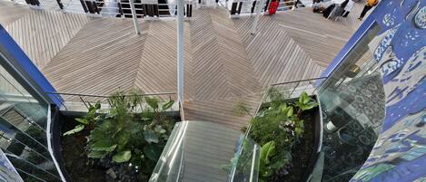 Un espacio interior moderno con una plataforma panorámica de suelo de cristal, una terraza de madera y un estanque con plantas.