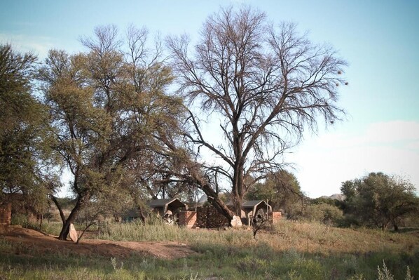 A natural landscape with trees and a building with a sloped roof. - Sweet Thorn Retreat Airport Lodge (Windhoek)