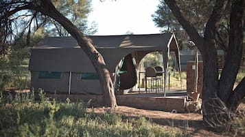 舒適帳篷, 1 間臥室 (Fully Equiped Tents) | 1 間睡房