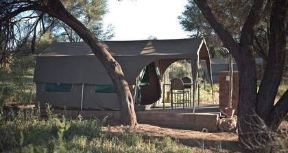 Sweet Thorn Retreat Airport Lodge