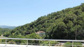 Vista desde la propiedad