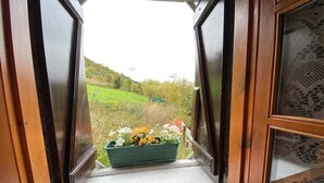 Una finestra con vista su un prato verde e fiori.