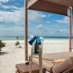 Vue sur la plage/l’océan