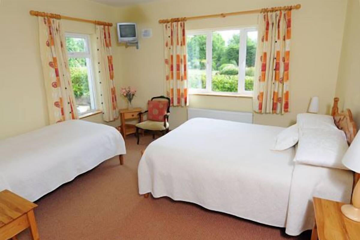 Standard Double or Twin Room, 1 Bedroom | Iron/ironing board, cribs (free), WiFi (free)
