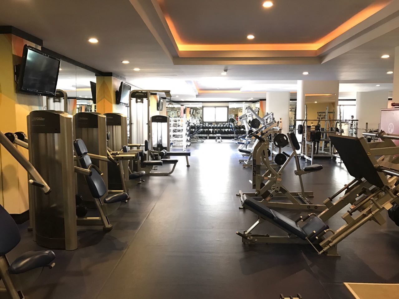 Palestra